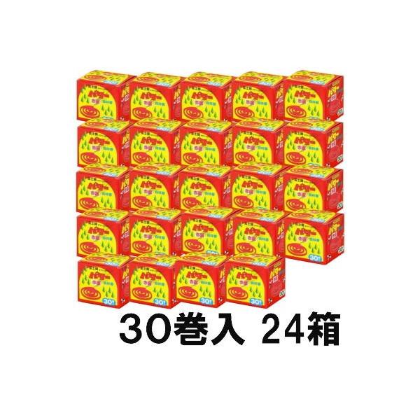 (P[X) p[Xэ 30×24 hvp ʌZ폤 coim (zs)