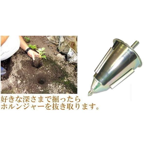 �z�����W���[R ���ǌ^ �J�b�v�� (24���p) �J�b�v���a7cm �d�C�h�����p �c�A�c�ؐA�t�����x�� �C�`�S �� ��؂̐A�t���p ���{���@zm ���i�摜1