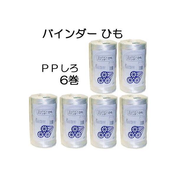 6巻セット) コンバイン バインダーひも PP 白 1000m バインダー