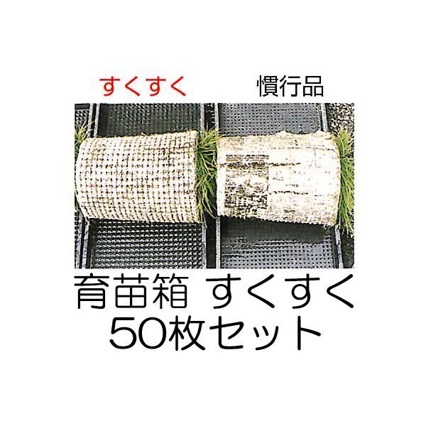 (50Zbg) c  (~sv) yJc ͂I