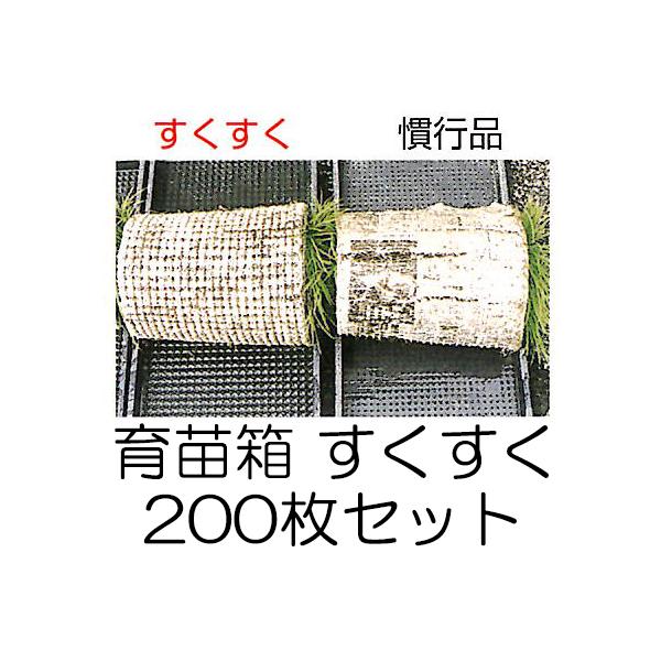(200Zbg) c  (~sv) yJc ͂I