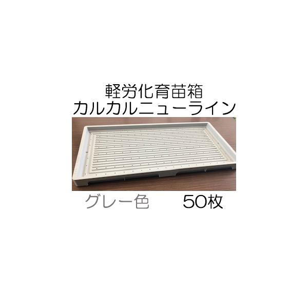 (50Zbg) c JJj[C O[ yJc (@llI)