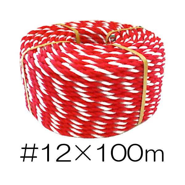 g[v #12×100 9mm 3.7kg zm