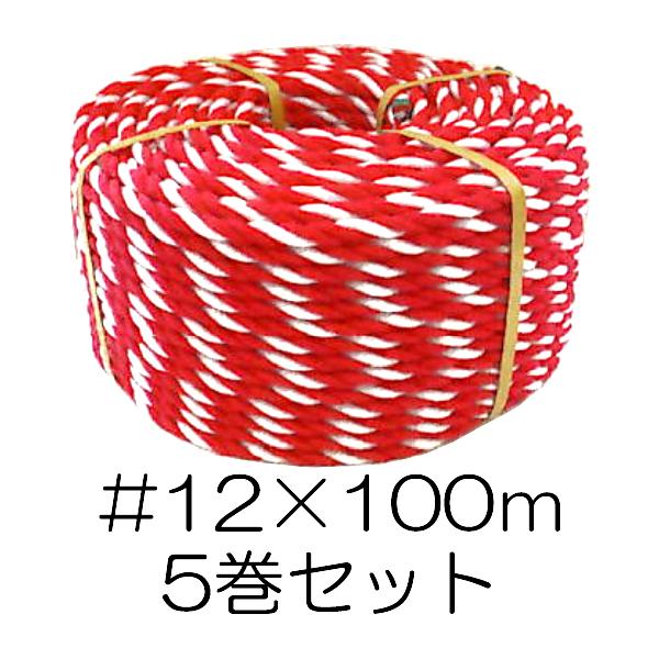 (5Zbg) g[v #12×100 9mm 3.7kg/