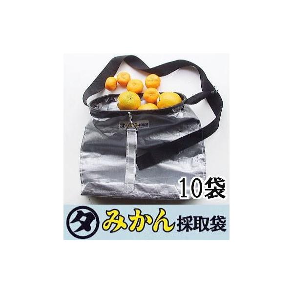 (10܃Zbg) { }^ ݂̎ Lxg ʎn ʎn ݂̏W ʎ̏W ꔲ (Yi)