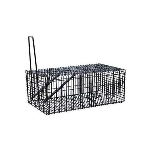 LEC^` Egߊl L Aj}Lb`[ W{ߊl X`[ (h) Rp (RB-1i) zs