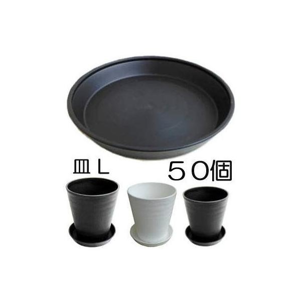 a ZA[g MiMAMjL@Oa275×40mm FI 50P