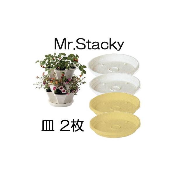 a ~X^[ X^bL[M 2 ˂锫p 1552 (zmR)