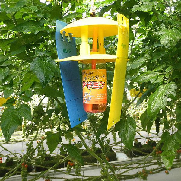 (10Zbg) AU~E}Lb`[ CAZ-110 AU~E}\@ߒ QLb`[ AU~ESV[gt ݂̂Y