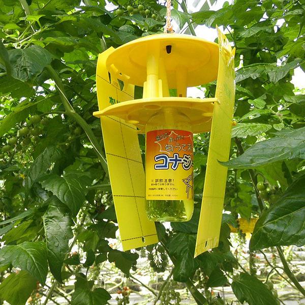 コナジラミキャッチャー みのる産業 (10台セット) コナジラミキャッチャー CKZ-100 活性式