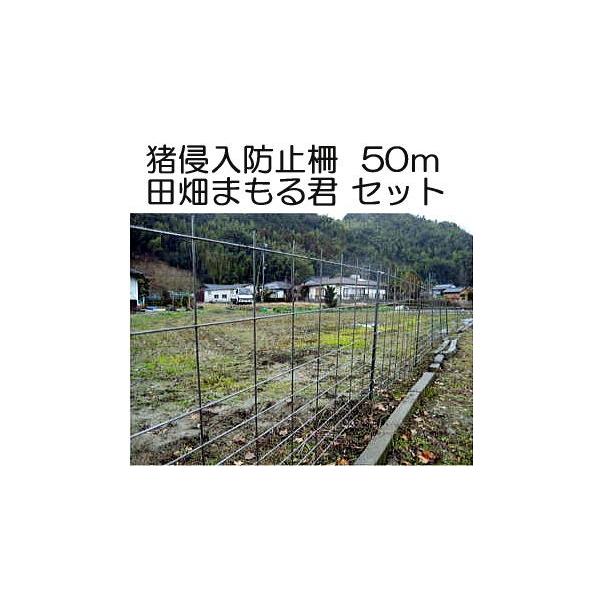 Nh~  c܂N 50mZbg a5mm bL 1.2m×2.0m xAt sev