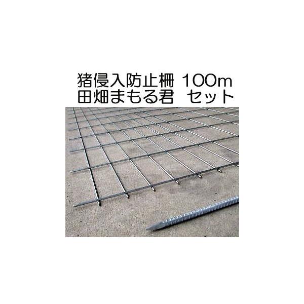 Nh~  c܂N 100mZbg a5mm bL 1.2m×2.0m xAt sev