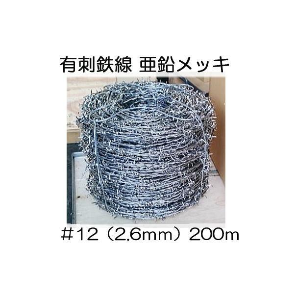 LhS  #12 (a2.6mm×200) Sj (bL) o[u