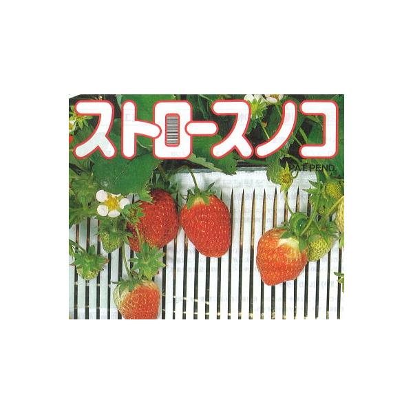 セキスイ (6巻セット特価) ストロースノコ 1型 I型-30 いちご用