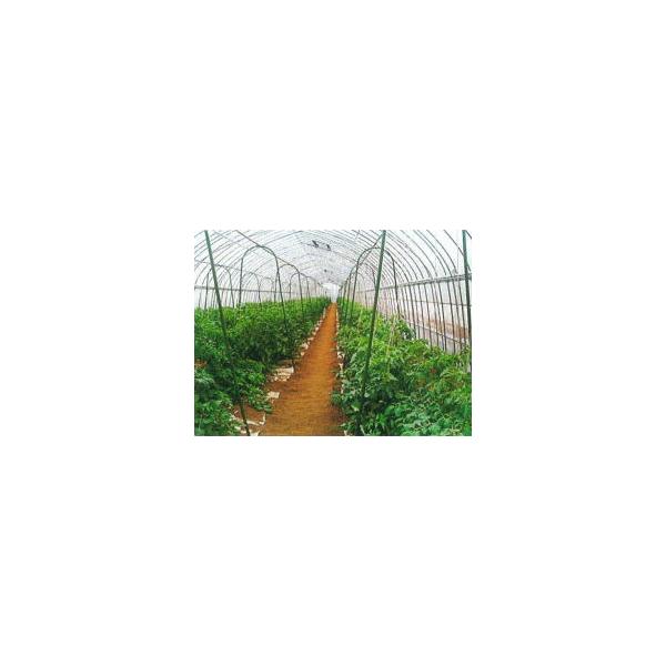 (10{Zbg) ZLXC ؉A[`x 16×1.8 16×1800mm 700 (Ch^Cv) Oa16mmԌ635mm1800mm { ϐ (@llI)@saka
