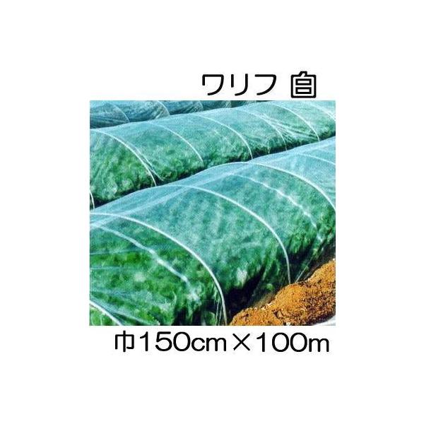  t HS-1500  150cm×100 1.5×100m Ռ5 sDz (΃t_Ɨp) V JXz΃GlM[