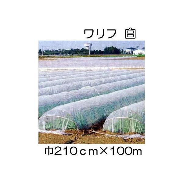  t HS-2100  210cm×100 2.1×100m Ռ5 sDz (΃t_Ɨp) V