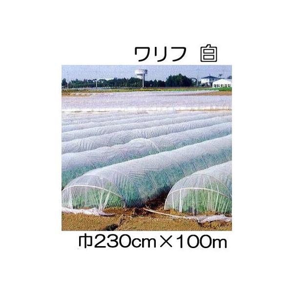  t HS-2300  230cm×100 2.3×100m Ռ5 sDz ܂肽ݕi (΃t_Ɨp) V JXz΃GlM[