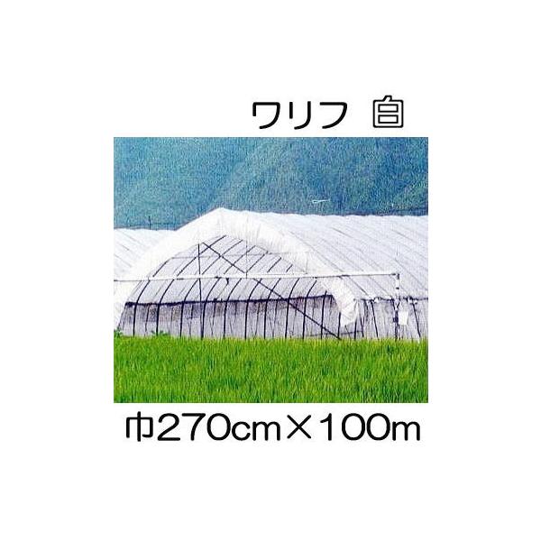  t HS-2700  270cm×100 2.7×100m Ռ5 sDz ܂肽ݕi (΃t_Ɨp) V