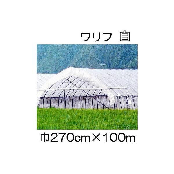 (3Zbg)  t HS-2700  270cm×100 2.7×100m Ռ5 sDz ܂肽ݕi (΃t_Ɨp) V