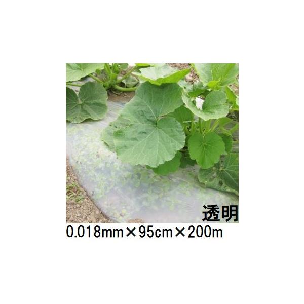 C 未使用 ユニック 生分解性 マルチフィルム キエ丸 透明 950 幅 200m 1ロール 千鳥 製造年不明 農業用品 マルチ 生分解性マルチフィルム キエ丸 透明 0.018×950mm×200m 消えるマルチ