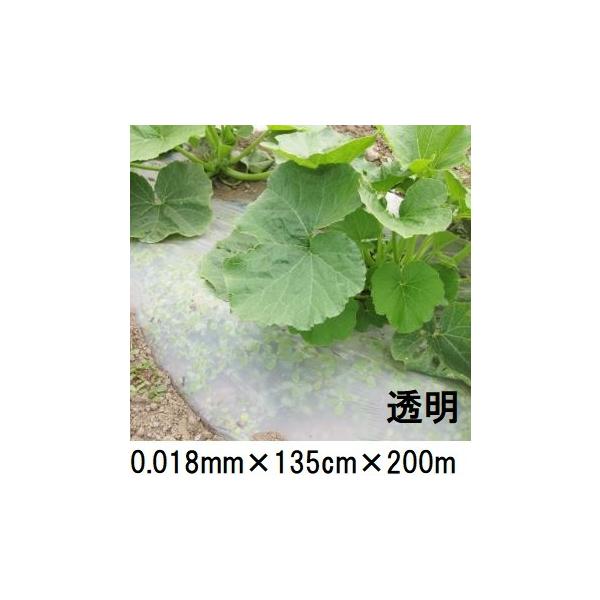 生分解性マルチフィルム キエ丸 透明 0.018mm×135cm×200m 消える