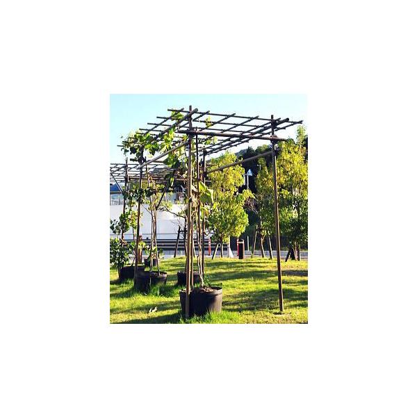 ZLXC t[cp[S L^Cv ϐ mI ӂI ԂǂI I |In