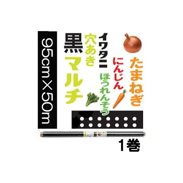 C^j ؉ ܂˂p }` ʂ˂}` 0.02mm×95cm×50m (5) 1 9515 45mmE 1 J}eA@(zs13)