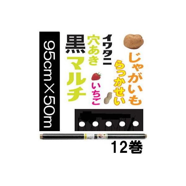 (12Zbg) C^j ؉p Ⴊp }` 0.02mm×95cm×50m 9128 60mmE J}eA (@lor^ЉcƏ)