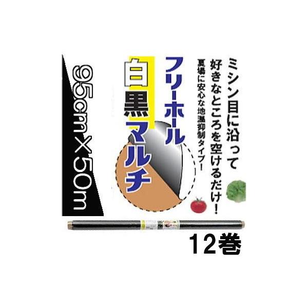 (12Zbg) C^j ؉p Vt[z[ }` 0.02mm×95cm×50m J}eA (@lorcƏ)