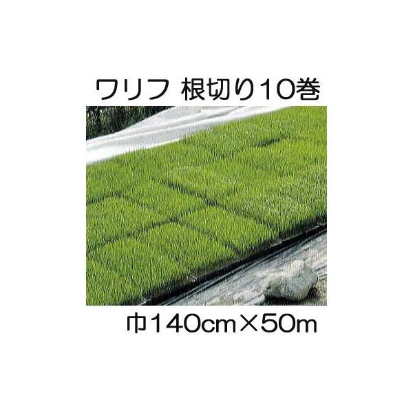 (10Zbg)  t N-1400 (؂) 140cm×50 1.4×50m sDz V JXz΃GlM[