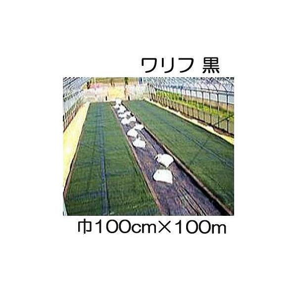 (5{Zbg)  t HS-1000  100cm×100 1.0×100m Ռ50 sDz (΃t_Ɨp) V JXz΃GlM[