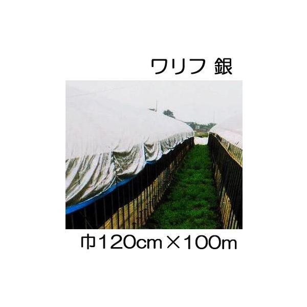 (5{Zbg)  t EX-1200 () 120cm×100 1.2×100m Ռ45 sDz (΃t_Ɨp) V