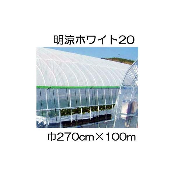 t 20 270cm×100 2.7×100m Ռ20 sDz ܂肽 (ȂH) (΃t_Ɨp) V