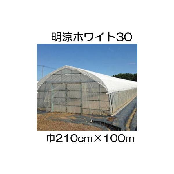 t 30W 210cm×100 2.1×100m Ռ30 sDz (΃t_Ɨp) V