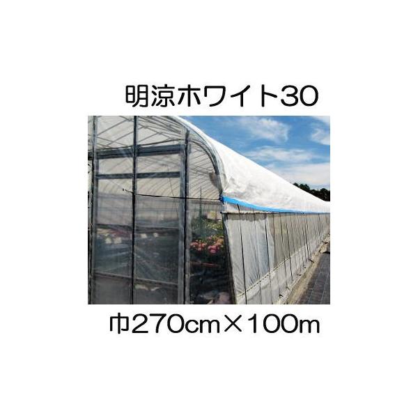 t 30W 270cm×100 2.7×100m Ռ30 sDz ܂肽 (ȂH) (΃t_Ɨp) V