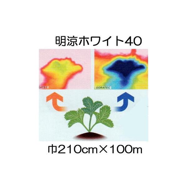 t 40 210cm×100 2.1×100m Ռ40 sDz (΃t_Ɨp) V