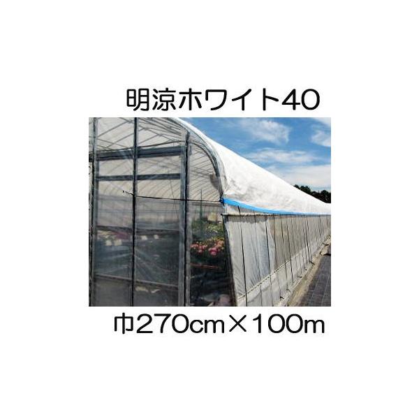 t 40 270cm×100 2.7×100m Ռ40 sDz ܂肽 (ȂH) (΃t_Ɨp) V