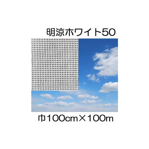 t 50 100cm×100 1.0×100m Ռ50 sDz (΃t_Ɨp) V
