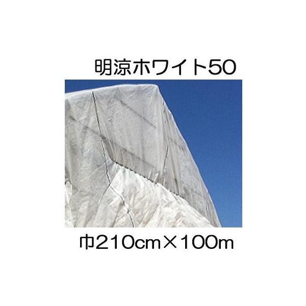 t 50 210cm×100 2.1×100m Ռ50 sDz (΃t_Ɨp) V