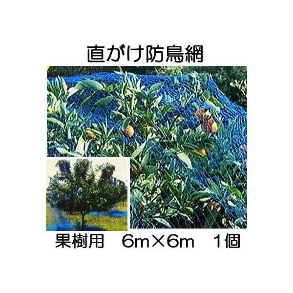 果樹用 直がけ防鳥網 6m×6m 20mm目 1000d (強力防鳥網 果樹