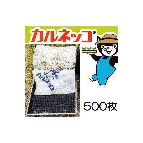 (500Zbg) JlbRSF 28cm×58cm cp~ OHP~JAOh[ MKVAhoX saka (zmL3)