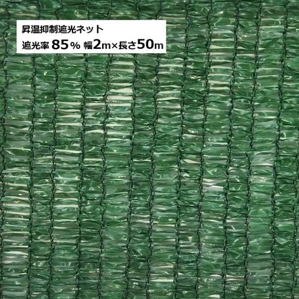 tackey_mitu0658