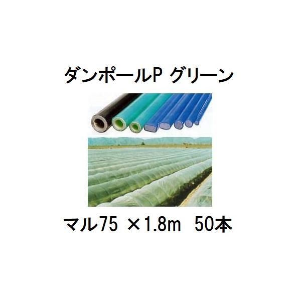 50本セット) ダンポールP マル75×1.8m 緑 トンネル幅90cm