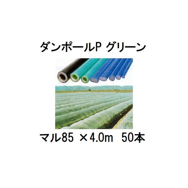 50本セット) ダンポールP マル85×4.0m 緑 トンネル幅180cm (個人宅配