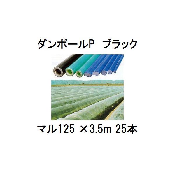 25本セット) ダンポールP マル125 ×3.5m 黒 トンネル幅250cm トンネル