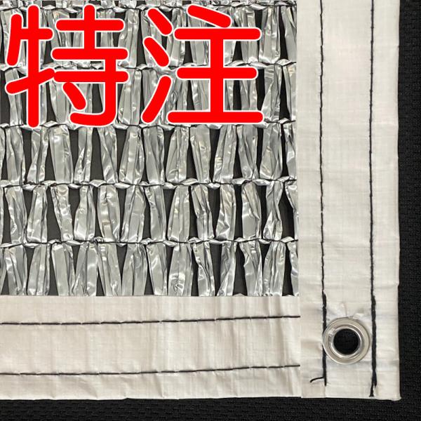 (lzs) TCY tngH Ռlbg Vo[O[ _CIbZ 2000SG Ռ85`90 (CmxbNX ՌV[g ՌJ[e)