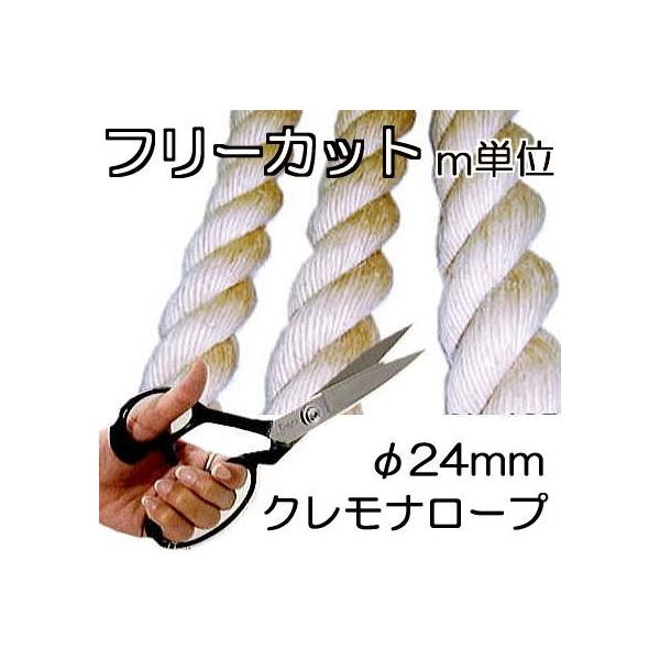 ({ ̓^Cv) Ni[v a24mm  Jbg̔ mP (Yi) OQ O  rj[v ibN