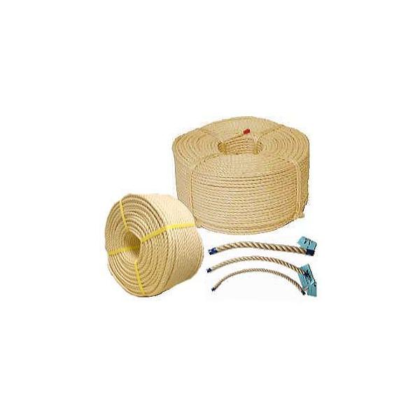 (Yi ̓^Cv) TCU [v a26mm×200 {