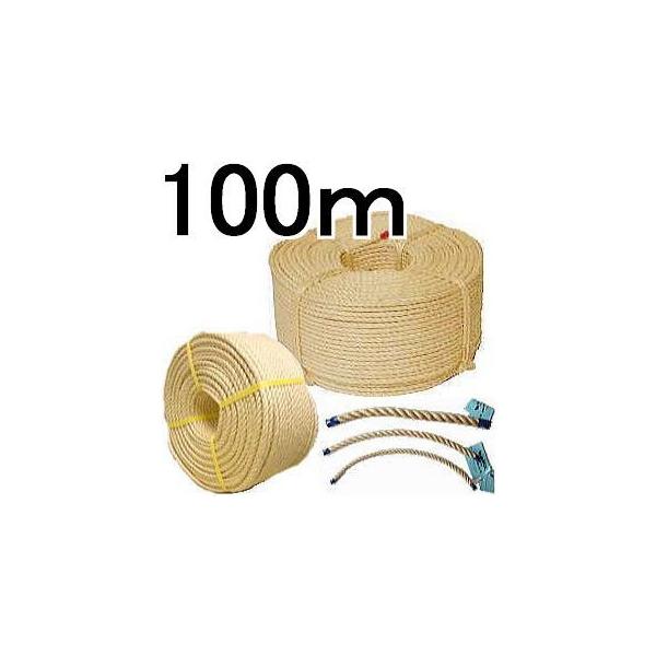 (Yi ̓^Cv) TCU [v a26mm×100 {